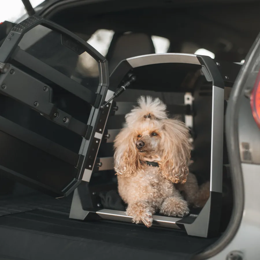 Trasportini Per Cani*Thule Allax M Nero/alluminio
