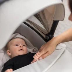 Accessori Per Passeggini*Thule bassinet talpa tinta