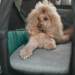 Accessori Per Cani|Rimorchi Per Cane*Thule Bexey dog bed M Nero