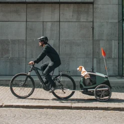 Rimorchi Per Cane|Rimorchi Per Bici Per Cani*Thule Bexey L Hazy green