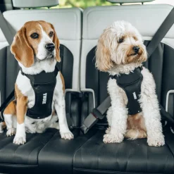 Imbracature Per Cani Da Auto*Thule Cappy