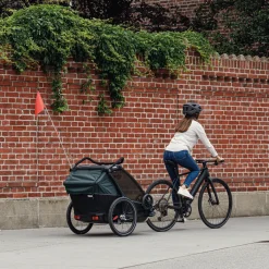 Rimorchi Per Bici Per Bambini|Rimorchi Per Bici Per Bambini*Thule Chariot Cab Ardesia scura