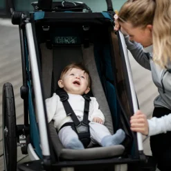 Accessori Per Rimorchi Per Bici|Accessori Per Rimorchi Per Bici*Thule Chariot infant sling Grigio