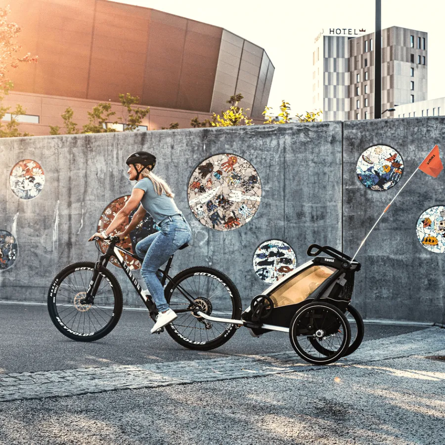 Rimorchi Per Bici Per Bambini|Rimorchi Per Bici Per Bambini*Thule Chariot Lite single Agave