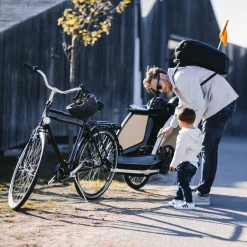 Rimorchi Per Bici Per Cani|Rimorchi Da Bici Per Carichi*Thule Courier Blu egeo