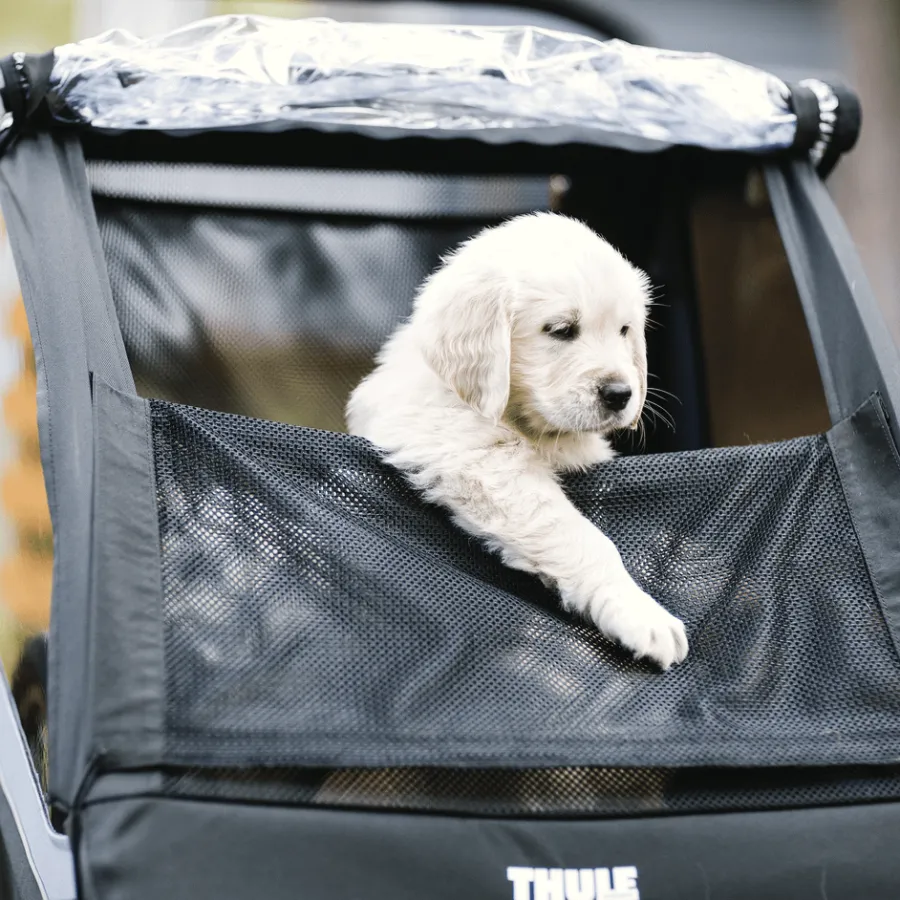 Rimorchi Per Cane|Rimorchi Per Bici Per Cani*Thule Courier dog trailer bundle Blu egeo