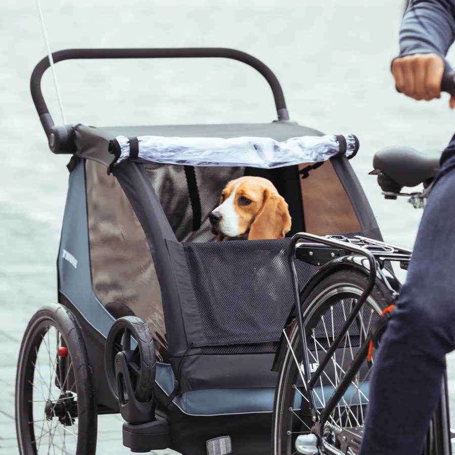 Rimorchi Per Cane|Rimorchi Per Bici Per Cani*Thule Courier dog trailer bundle Blu egeo