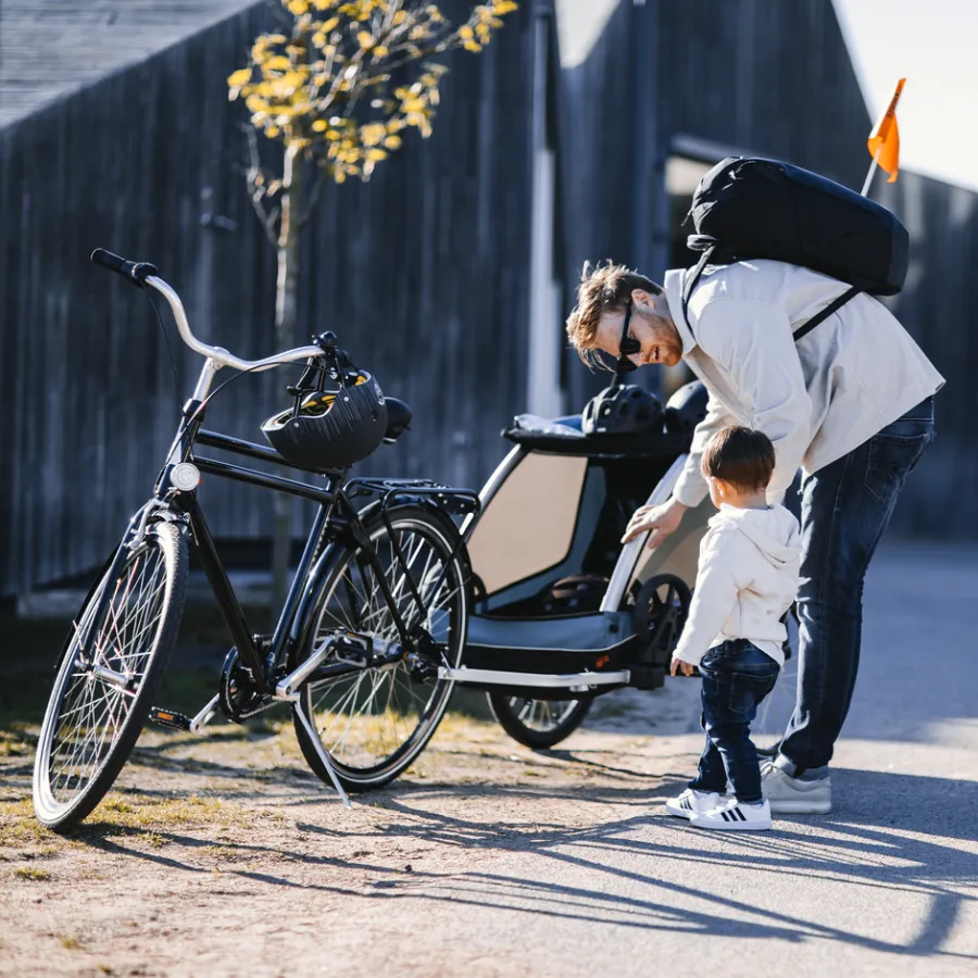 Rimorchi Per Cane|Rimorchi Per Bici Per Cani*Thule Courier dog trailer bundle Blu egeo