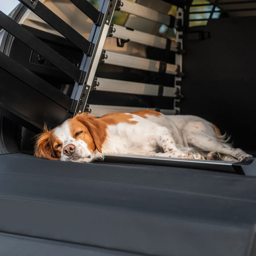 Accessori Per Cani*Thule dog mat standard Nero
