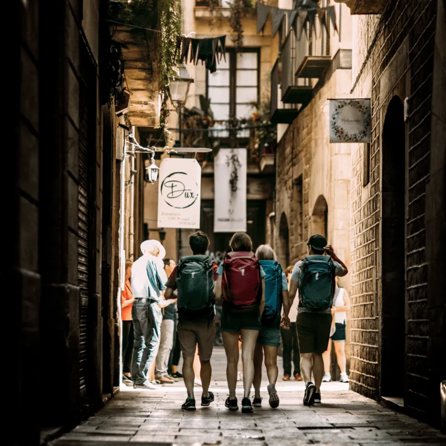 Zaini Da Viaggio|Bagaglio A Mano*Thule Landmark Dark bordeaux