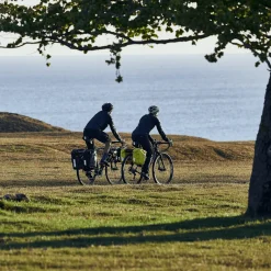 Borse E Portaborse Per Bici|Borse E Portaborse Per Bici*Thule Shield Blu