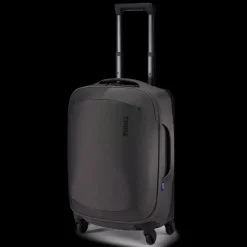 Bagaglio A Mano*Thule Subterra 2 Vetiver gray